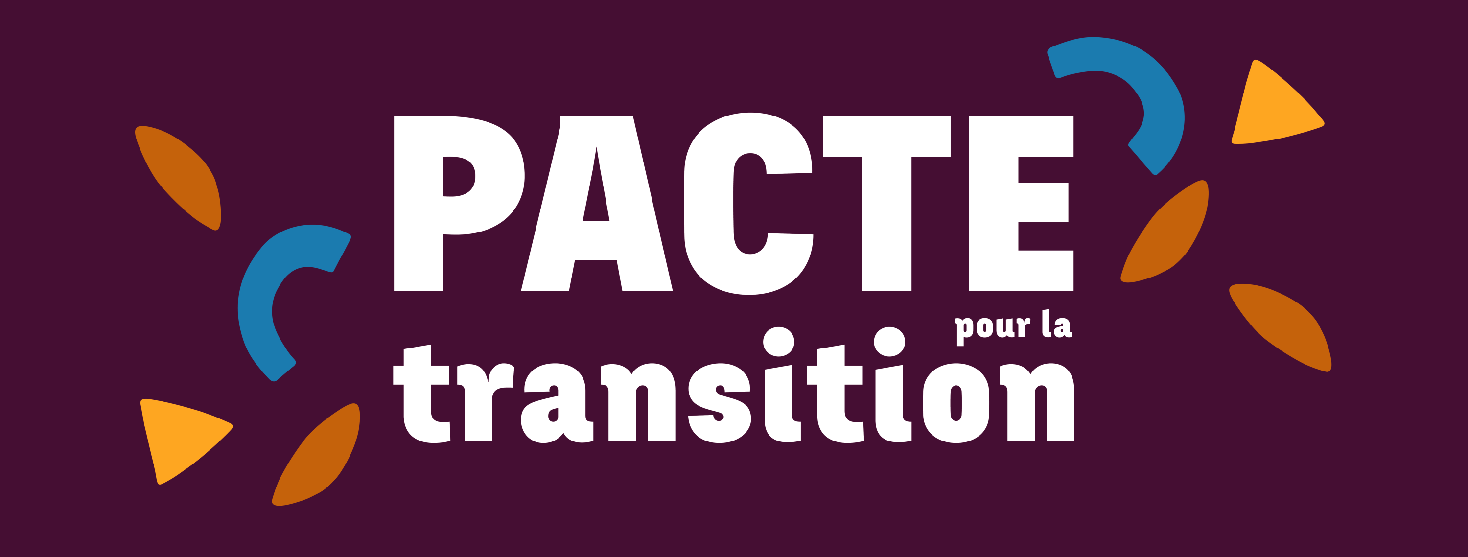 Jusqu’au 28 février : COmmunectons la démocratie avec le Collectif  pour une Transition Citoyenne !